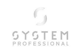 System Professional